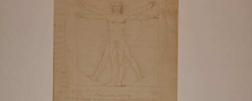 Auf den Spuren von Leonardo da Vinci – Ausstellung Leonardowerkstatt 2024
